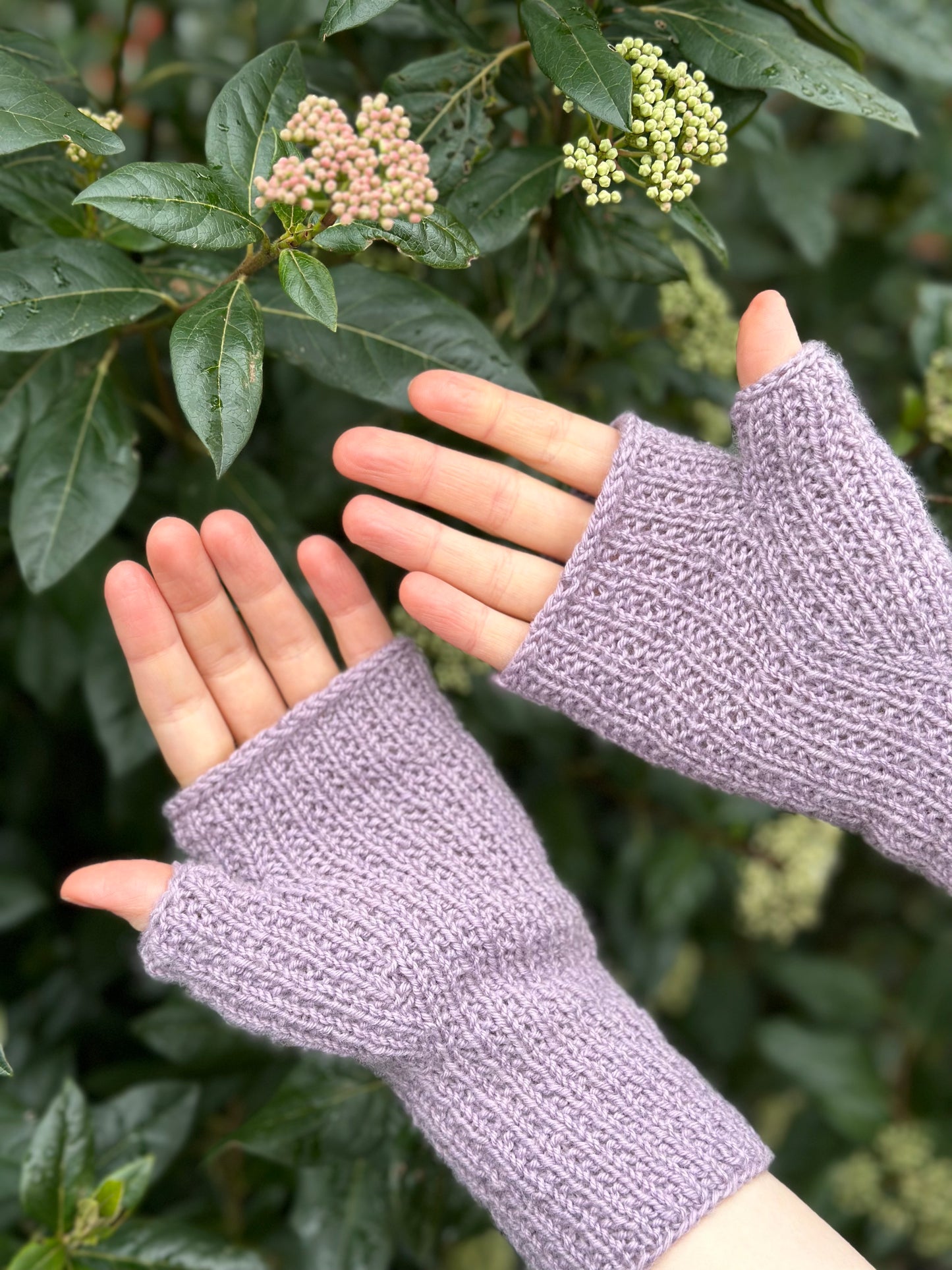Seed Gloves