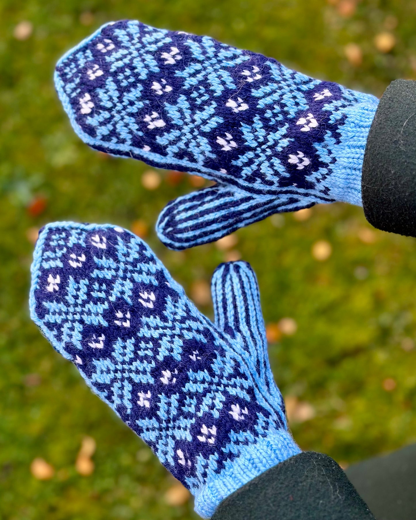 Elsa Mittens - Winter Edition