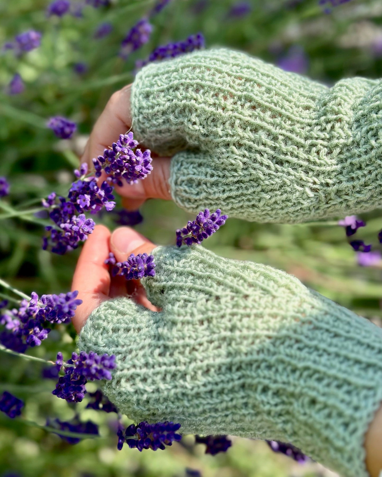 Seed Gloves